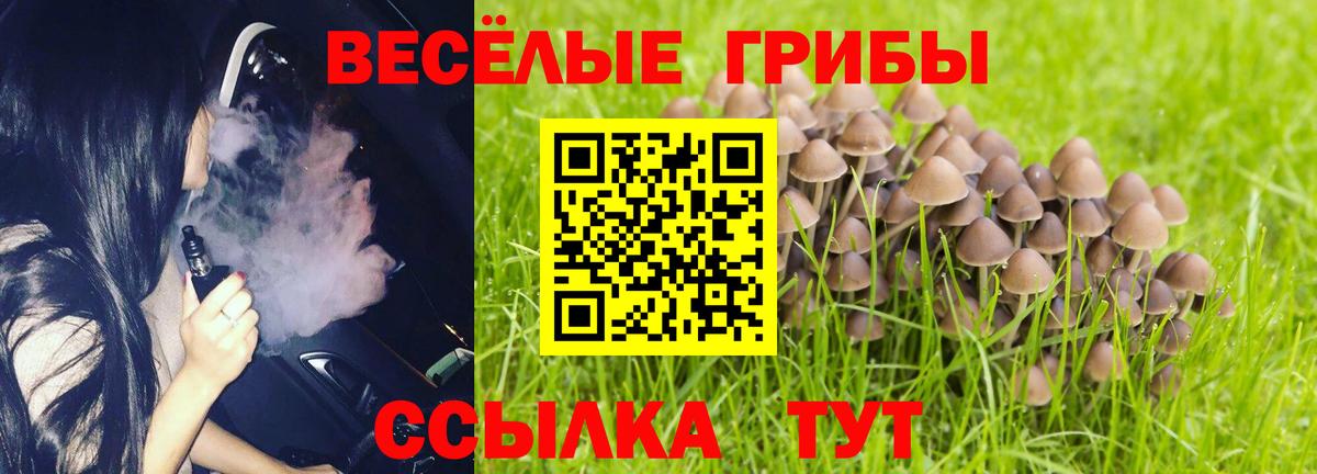 Псилоцибиновые грибы ЛСД  Вход с VPN  Городец  Галлюциногенные грибы Psilocybe 